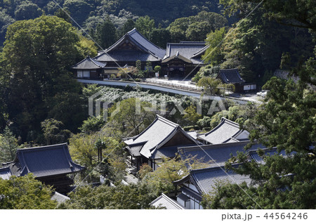 長谷寺　伽藍 44564246