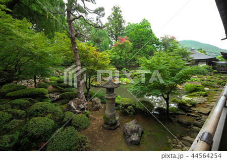 夏の恵林寺庭園 夏の恵林寺庭園 44564254