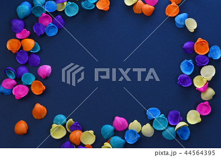 カラフルな貝殻 カラフルな貝殻 44564395