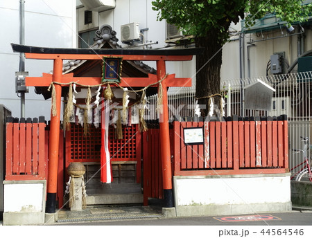 大阪の梅田にある歯神社の鳥居と祠の風景です 大阪の梅田にある歯神社の鳥居と祠の風景です 44564546