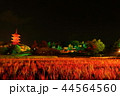 赤米と備中国分寺五重塔 44564560