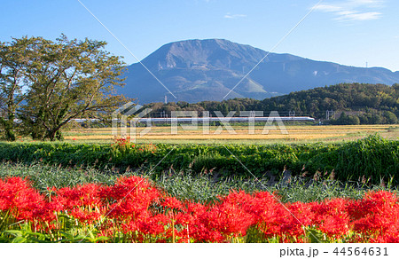 伊吹山と新幹線 伊吹山と新幹線 44564631