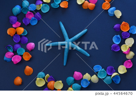 カラフルな貝殻とヒトデ カラフルな貝殻とヒトデ 44564670
