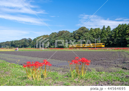 三岐鉄道 三岐鉄道 44564695