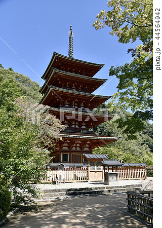 長谷寺　五重塔 44564942