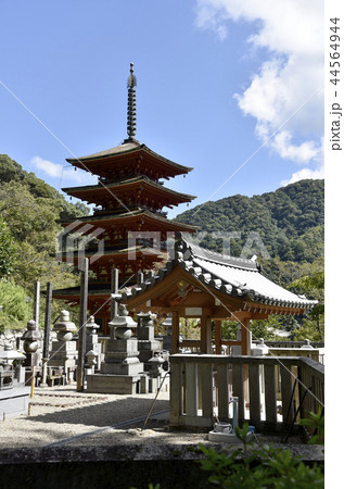 長谷寺　五重塔 44564944