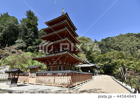 長谷寺 五重塔 長谷寺 五重塔 44564945