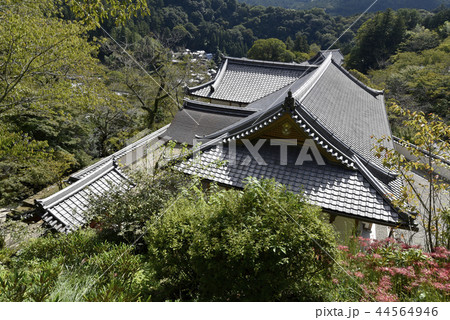 長谷寺 伽藍 長谷寺 伽藍 44564946