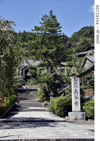 長谷寺 長谷寺 44565106