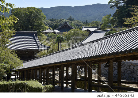 長谷寺　登廊 44565342