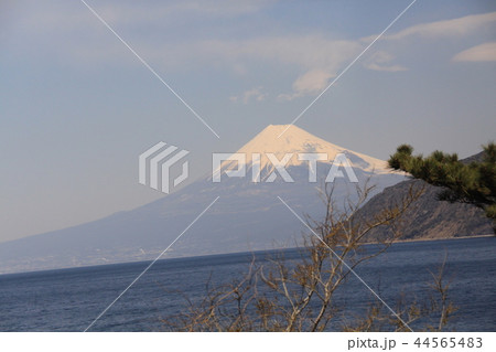 富士山　西伊豆より 44565483