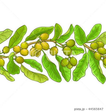 shea vector pattern 44565647