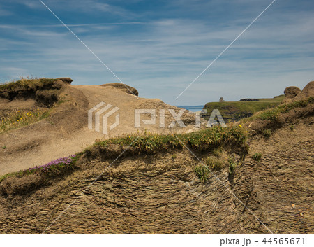 Rock strata overgrown with grass at the Cliff Rock strata overgrown with grass at the Cliff 44565671