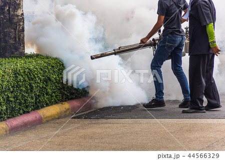 Fogging DDT spray mosquito kill for virus protect 44566329