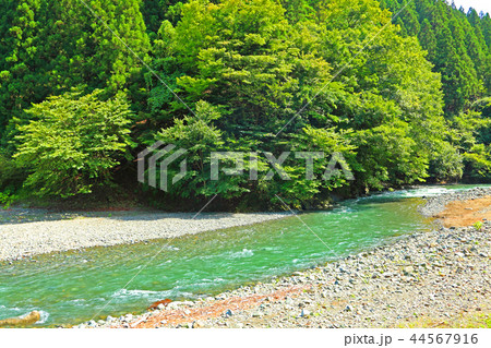 緑多き中を流れる川 緑多き中を流れる川 44567916
