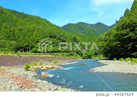 緑多き中を流れる川 緑多き中を流れる川 44567924