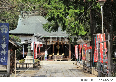青葉神社 青葉神社 44568572