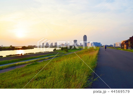 荒川河川敷（埼玉県川口市） 44569579