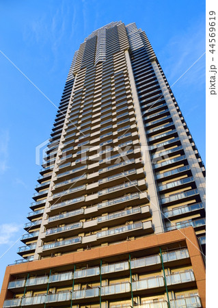 エルザタワー55（埼玉県川口市） 44569619