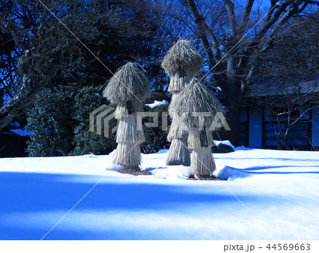 雪囲い 44569663