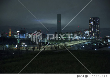 豊洲市場 44569743