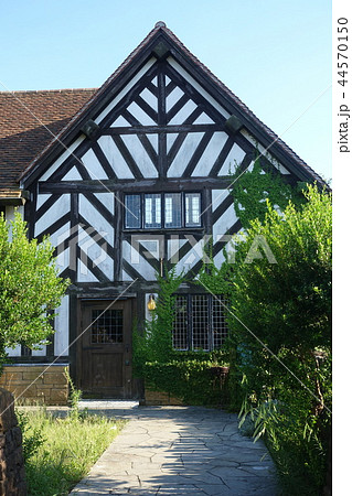 ローズマリー公園② 44570150