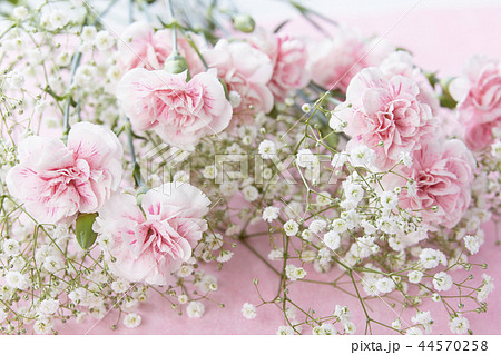 ピンク色のカーネーションの花束の写真素材