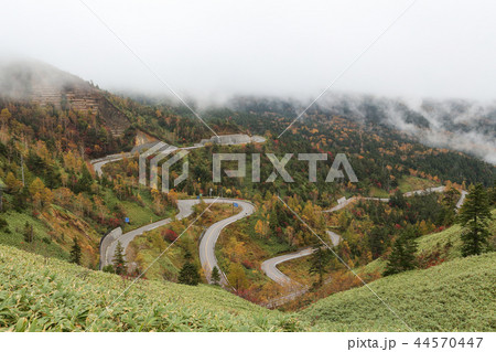 紅葉が始まった高原の道路 紅葉が始まった高原の道路 44570447
