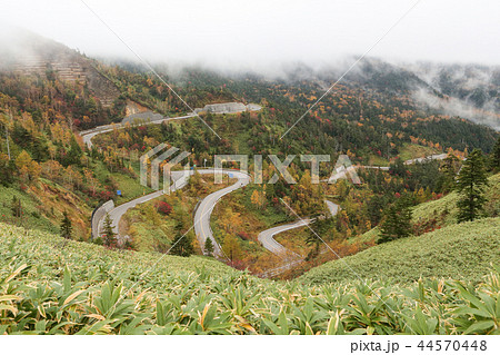 紅葉が始まった高原の道路 紅葉が始まった高原の道路 44570448