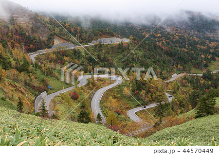 紅葉が始まった高原の道路 紅葉が始まった高原の道路 44570449