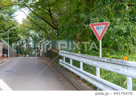 坂道の徐行の道路標識 坂道の徐行の道路標識 44570470