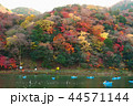 嵐山渡月橋上流一帯船遊、日本京都の紅葉、秋 44571144