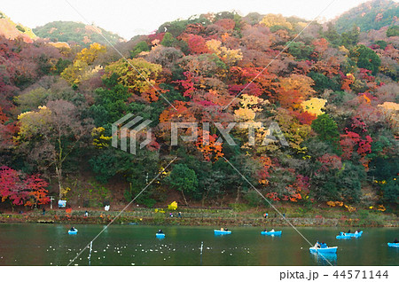 嵐山渡月橋上流一帯船遊 日本京都の紅葉 秋のイラスト素材