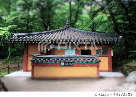 トイレ タイル 海印寺 44572508
