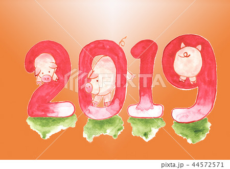 豚 ブタ ぶた 44572571