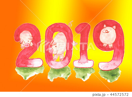 豚 ブタ ぶた 44572572