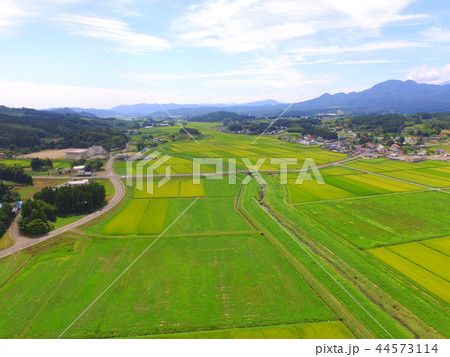 田んぼ〜ドローンで空撮(円田盆地/宮城県刈田郡蔵王町) 田んぼ〜ドローンで空撮(円田盆地/宮城県刈田郡蔵王町) 44573114