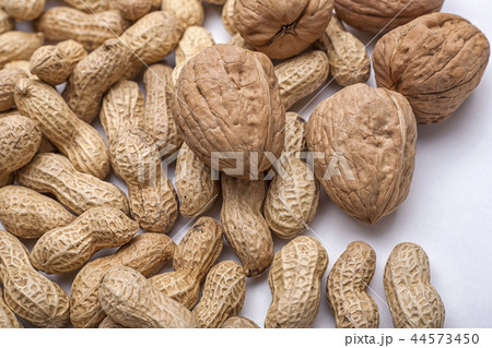 健康食品 ナット 皮 44573450