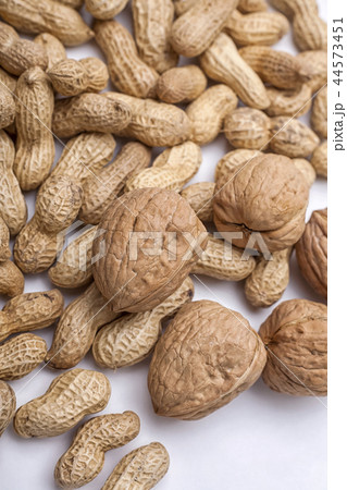 健康食品 ナット 皮 44573451