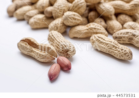 ピーナッツ ナット 皮 44573531