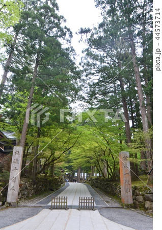 永平寺の門(福井県吉田郡永平寺町志比5-15) 永平寺の門(福井県吉田郡永平寺町志比5-15) 44573714