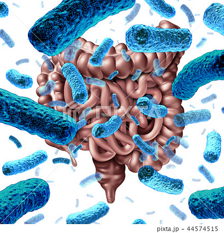 Gut Bacteria 44574515