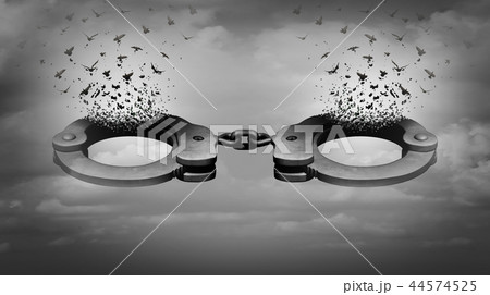 Prison Reform 44574525