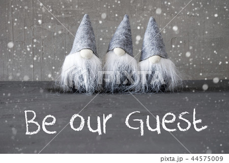 Three Gray Gnomes, Cement, Snowflake, Be Our Guest 44575009