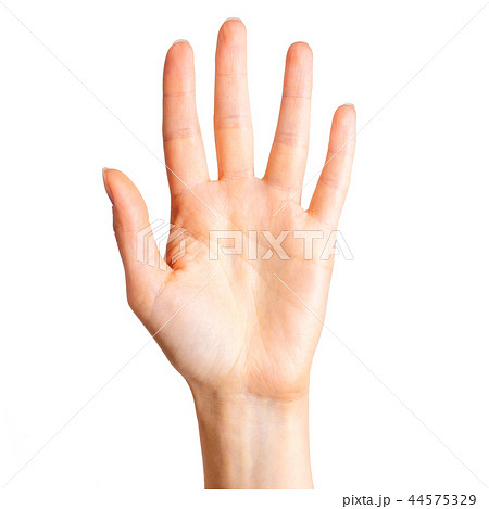Female hand showing five fingers and palm Female hand showing five fingers and palm 44575329