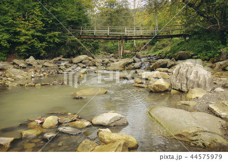 Fast river in the forest Fast river in the forest 44575979