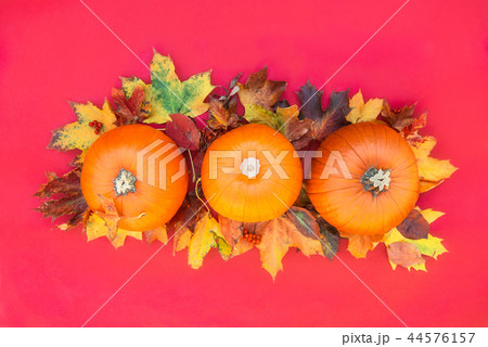 Autumn composition. Pumpkins, dried leaves 44576157