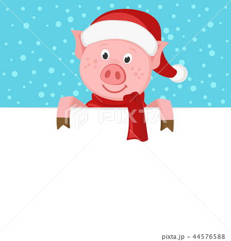 A pig in a scarf and hat Peeps out from behind a A pig in a scarf and hat Peeps out from behind a 44576588