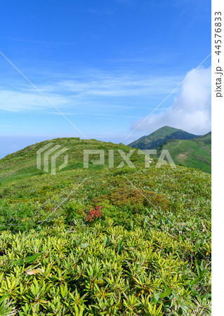 ニセ巻機山(前巻機山)から見た割引岳 ニセ巻機山(前巻機山)から見た割引岳 44576833