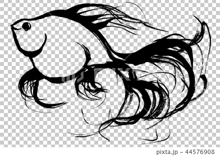 筆絵　金魚 44576908